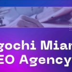 egochi miami seo agency