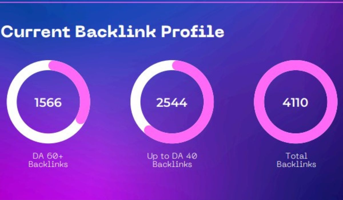 egochi miami seo agency